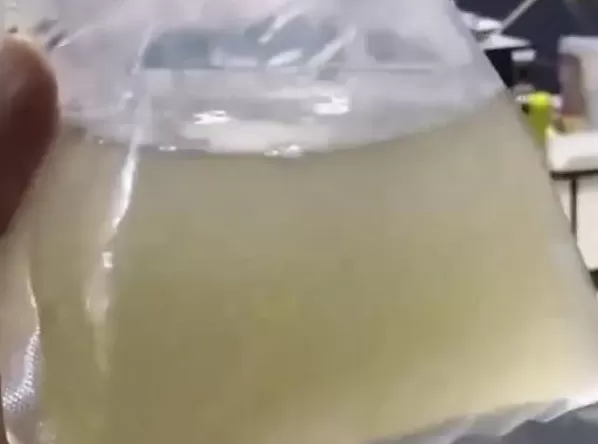 网购50条观赏鱼结果收到一袋水？商家：已退款，路上被煮化了-第1张图片-