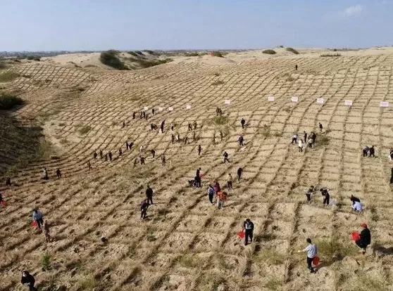 内蒙古14岁农村少年拿下德国纽伦堡国际发明展金奖-第1张图片-