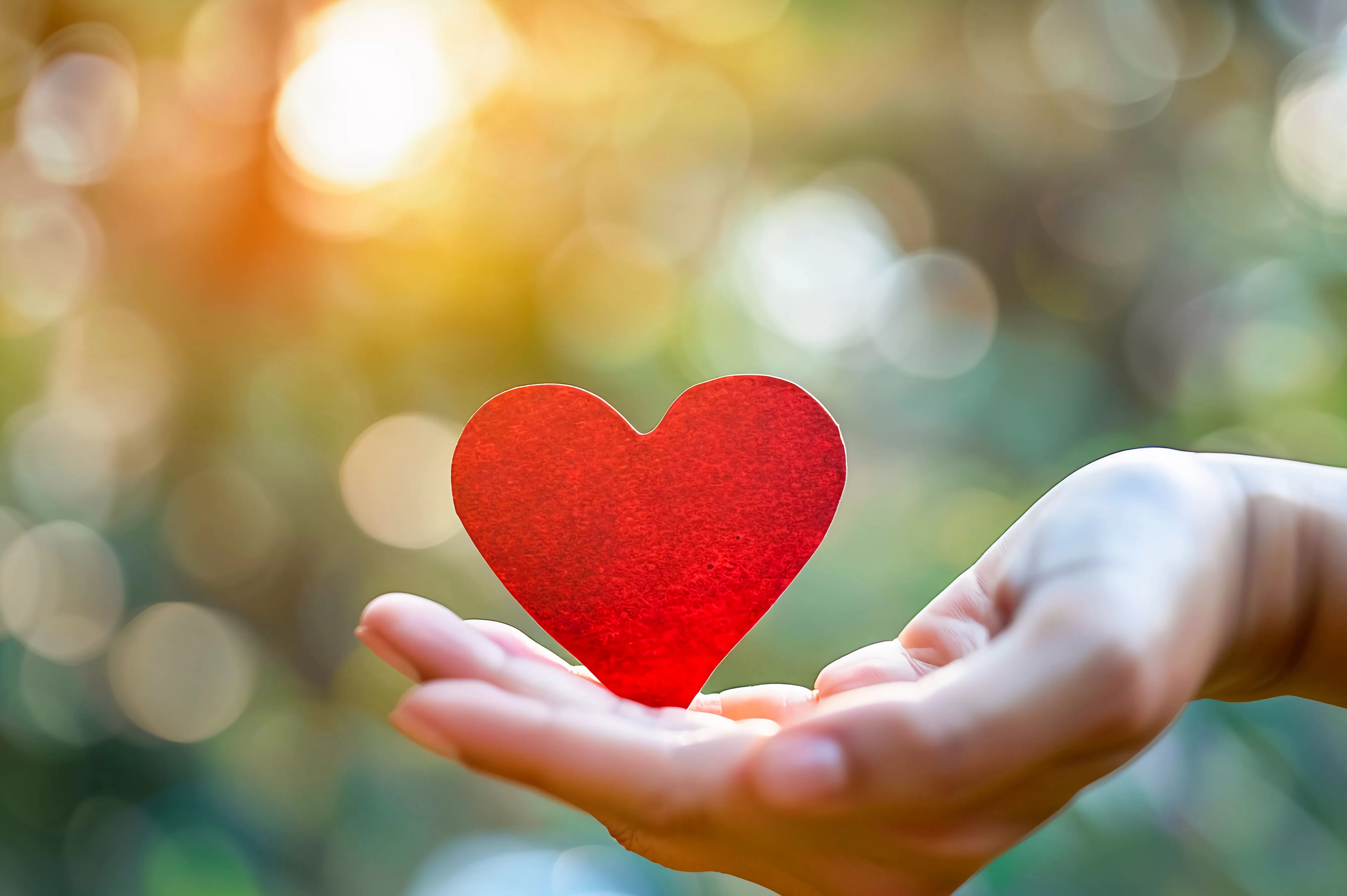 善意救助过程中过失肇事，检察机关不予起诉-第1张图片-