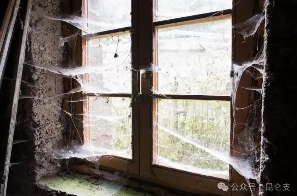 美国的“开门法案”里还藏了一条，一人50万美元-第1张图片-