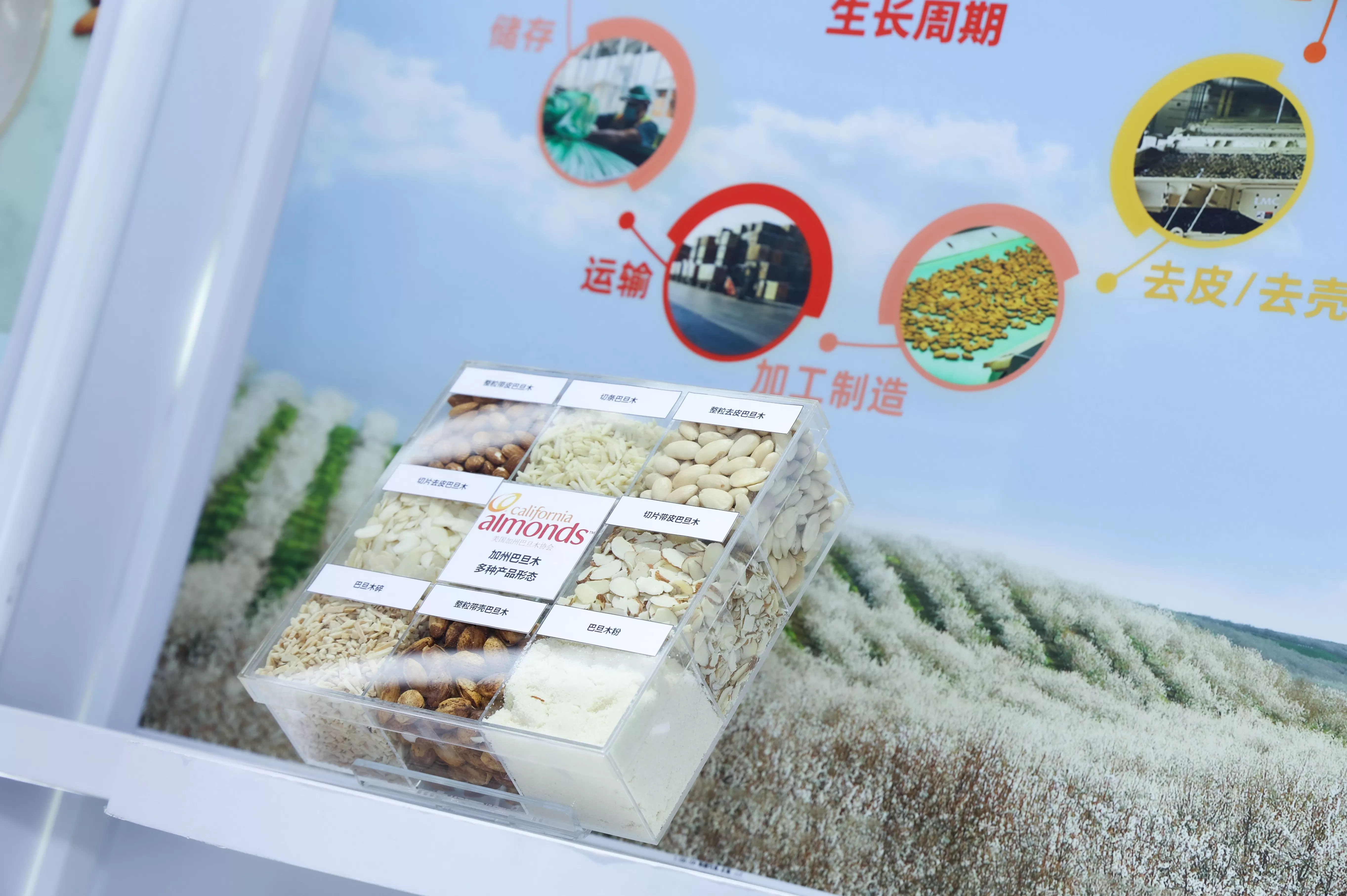 天然原料需求上升，加州巴旦木协会以创新战略深耕中国市场-第2张图片-