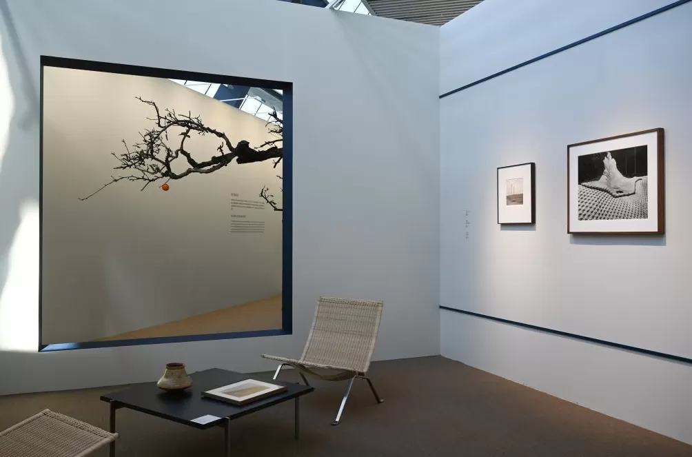 2025西岸艺博会在沪开幕,当代艺术市场上摄影作品不多-第2张图片- 2025西岸艺博会在沪开幕,当代艺术市场上摄影作品不多-第2张图片-