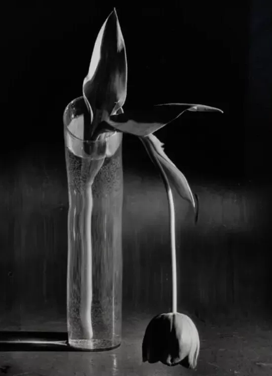 2025西岸艺博会在沪开幕,当代艺术市场上摄影作品不多-第6张图片- 2025西岸艺博会在沪开幕,当代艺术市场上摄影作品不多-第6张图片-