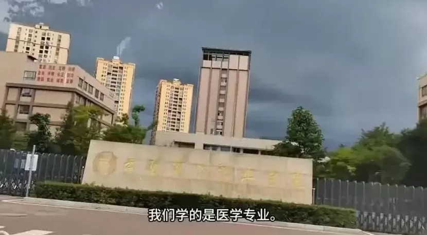 医学职校生,为毕业证进工厂「拧螺丝」-第6张图片- 医学职校生,为毕业证进工厂「拧螺丝」-第6张图片-