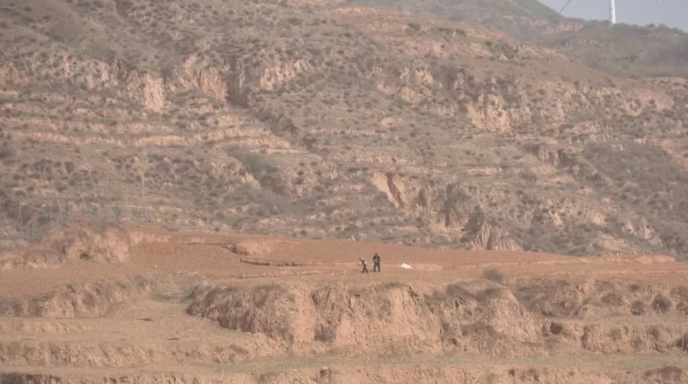 治愈网友的回村青年，治愈不了自己-第4张图片-