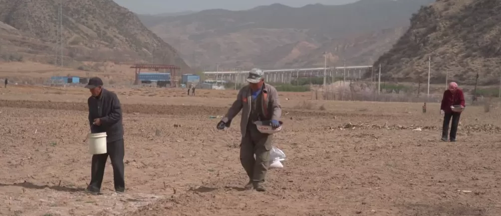 治愈网友的回村青年，治愈不了自己-第3张图片-