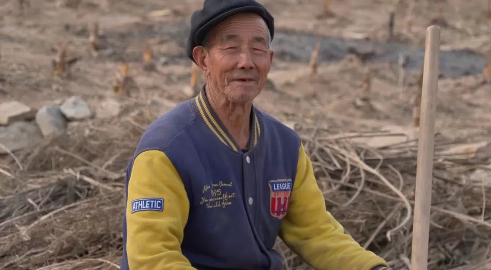 治愈网友的回村青年，治愈不了自己-第6张图片-