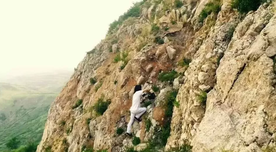 治愈网友的回村青年，治愈不了自己-第12张图片-