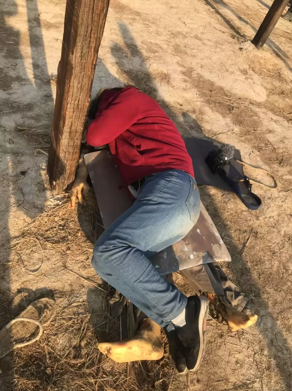 治愈网友的回村青年，治愈不了自己-第14张图片-