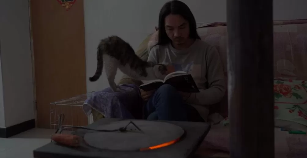 治愈网友的回村青年，治愈不了自己-第16张图片-