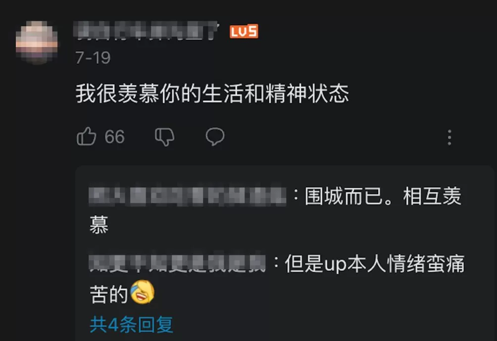 治愈网友的回村青年，治愈不了自己-第17张图片-