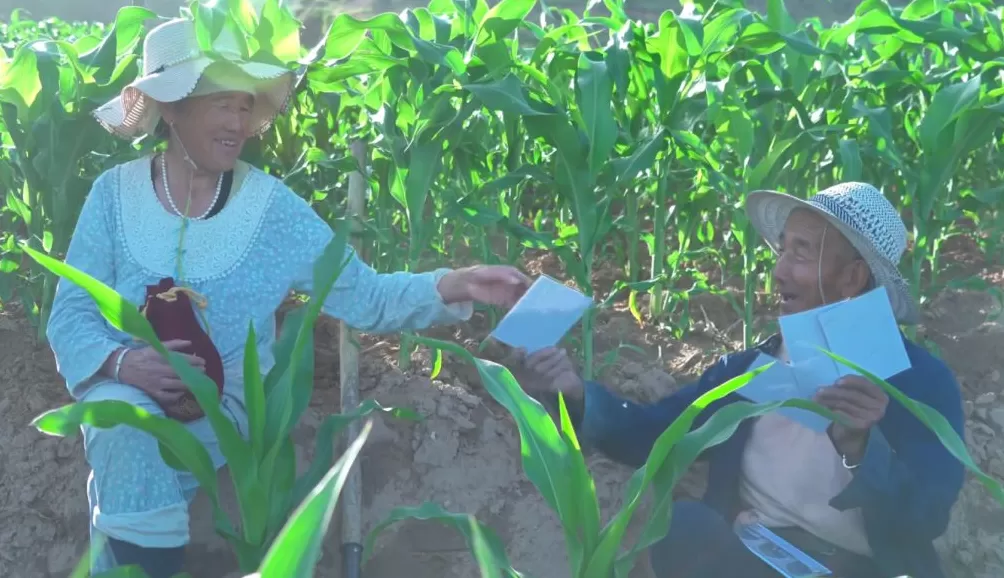 治愈网友的回村青年，治愈不了自己-第20张图片-