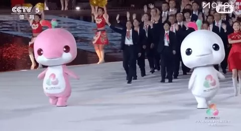 一夜爆火，“大湾鸡”做对了什么？-第3张图片-