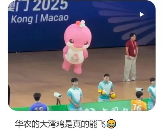 一夜爆火，“大湾鸡”做对了什么？-第5张图片-