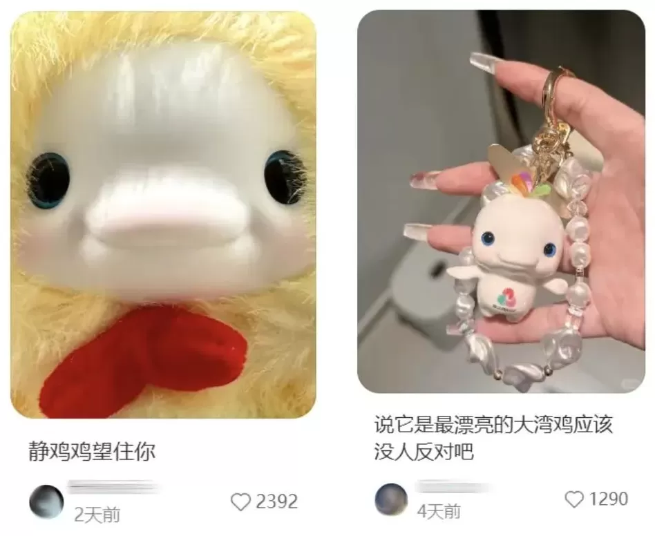 一夜爆火，“大湾鸡”做对了什么？-第10张图片-