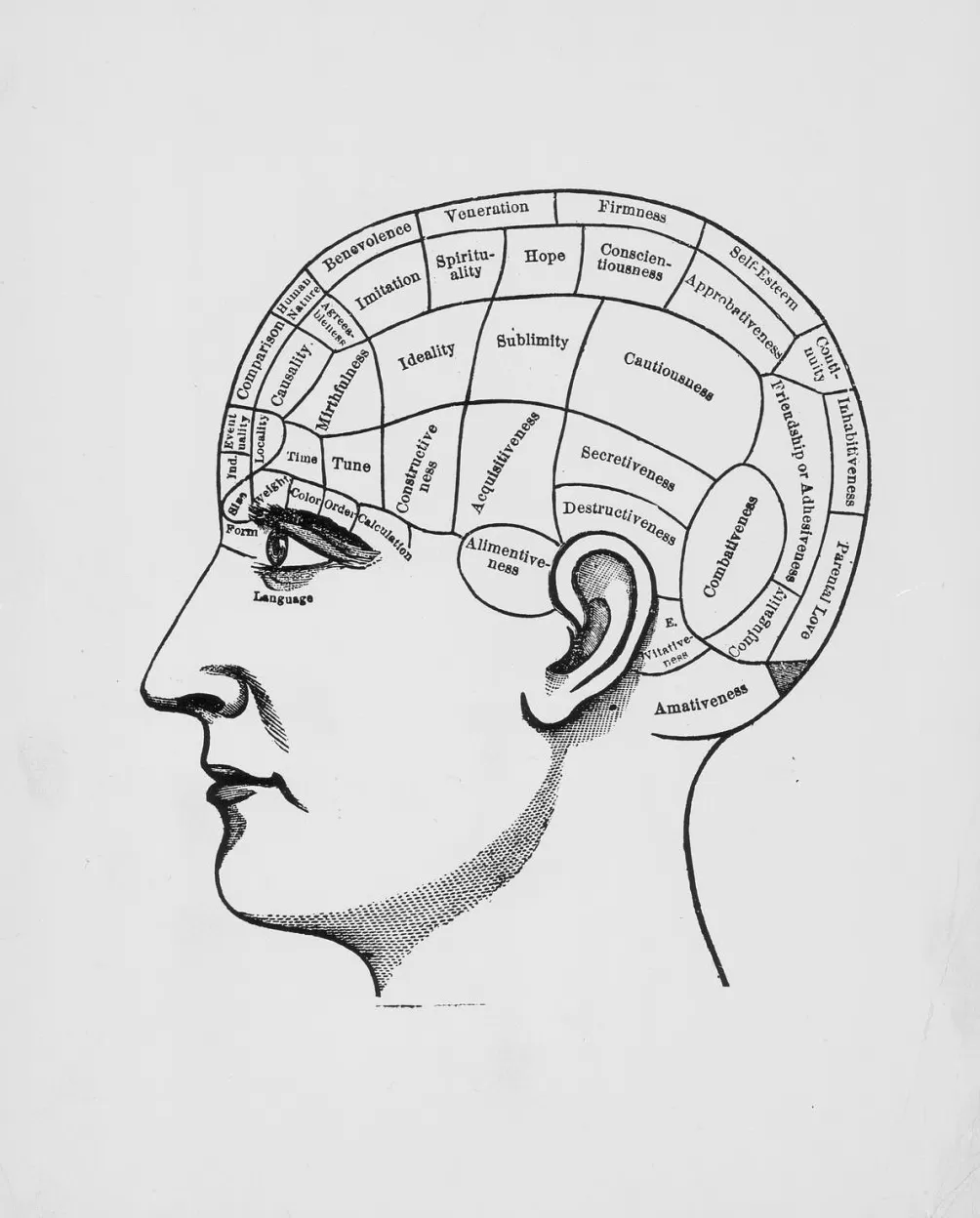 王旭读《脑》|脑不是“创世神”,而是“关系器官”-第3张图片- 王旭读《脑》|脑不是“创世神”,而是“关系器官”-第3张图片-