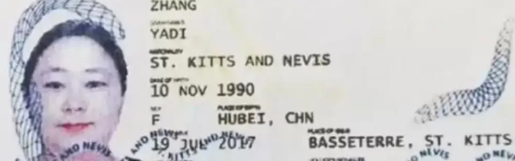 坑惨12万投资者，47岁钱志敏床上被抓，500亿财富要流落海外？-第7张图片-