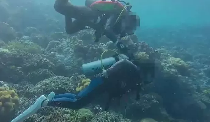 潜水员水下关闭女性潜友气瓶，疑还拍视频发朋友圈？多方回应-第4张图片-