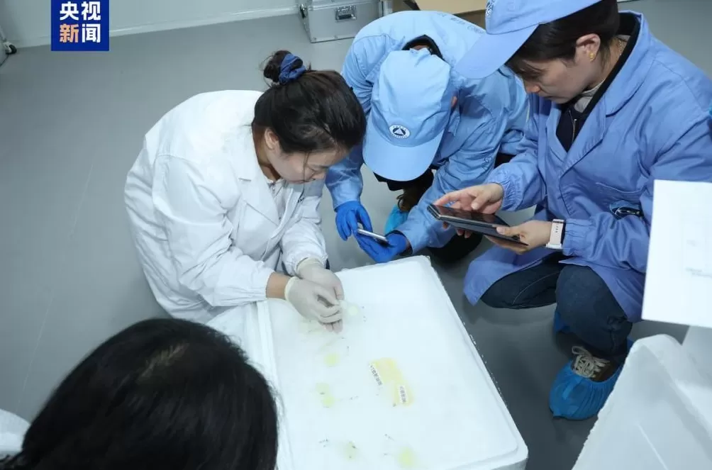 中国空间站第九批实验样品返回并交付科学家-第1张图片- 中国空间站第九批实验样品返回并交付科学家-第1张图片-