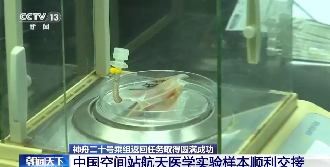 神二十乘组昨夜抵京:已入住航天员公寓,进入隔离恢复期-第3张图片- 神二十乘组昨夜抵京:已入住航天员公寓,进入隔离恢复期-第3张图片-