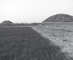 从“代人”到“河南人”:孝文帝迁都洛阳后的改革-第1张图片- 从“代人”到“河南人”:孝文帝迁都洛阳后的改革-第1张图片-