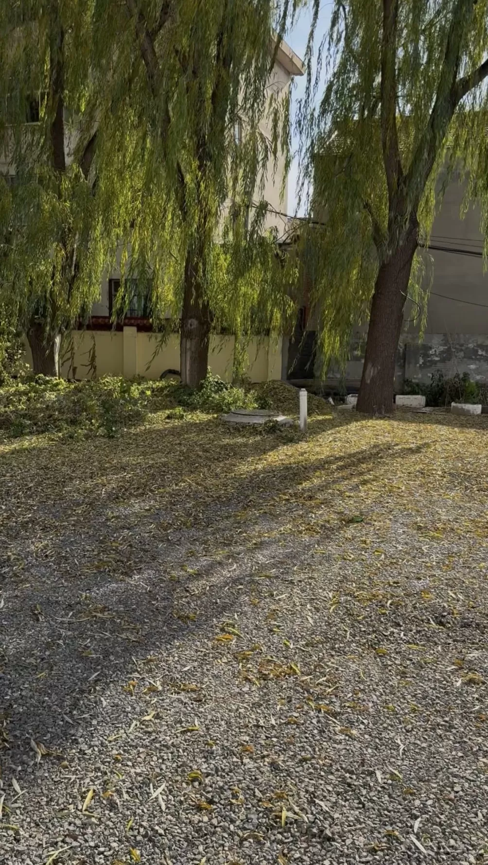 山西“狗咬人被摔死”命案调查:纠纷如何升级,“反杀”是否防卫过度?-第2张图片- 山西“狗咬人被摔死”命案调查:纠纷如何升级,“反杀”是否防卫过度?-第2张图片-