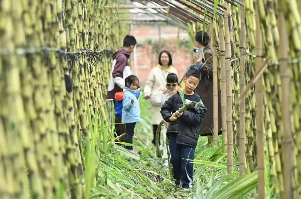 中小学秋假火了亲子游,四川、浙江多景区因游客量饱和限流-第1张图片- 中小学秋假火了亲子游,四川、浙江多景区因游客量饱和限流-第1张图片-