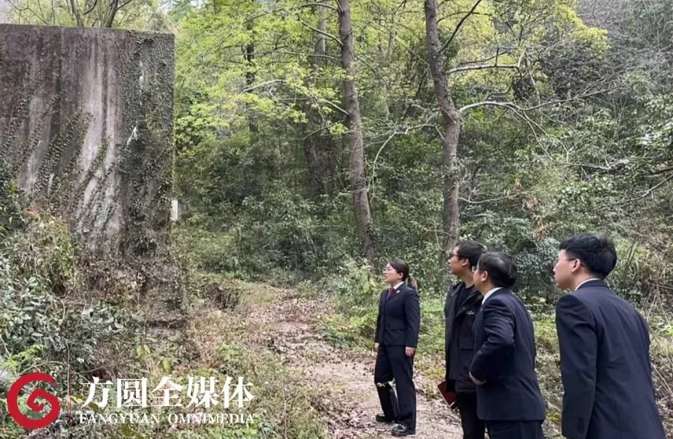 景区247家民宿和酒店,105家没有用水记录,数据异常背后隐藏着哪些秘密?-第9张图片- 景区247家民宿和酒店,105家没有用水记录,数据异常背后隐藏着哪些秘密?-第9张图片-