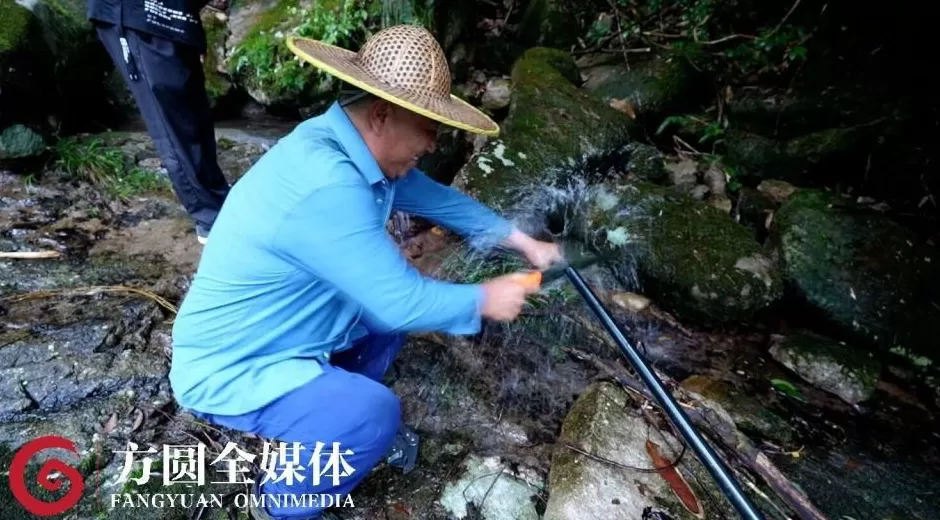 景区247家民宿和酒店,105家没有用水记录,数据异常背后隐藏着哪些秘密?-第8张图片- 景区247家民宿和酒店,105家没有用水记录,数据异常背后隐藏着哪些秘密?-第8张图片-