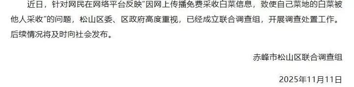 一则谣言毁了近200亩白菜,损失逾百万!责任谁担?-第2张图片- 一则谣言毁了近200亩白菜,损失逾百万!责任谁担?-第2张图片-