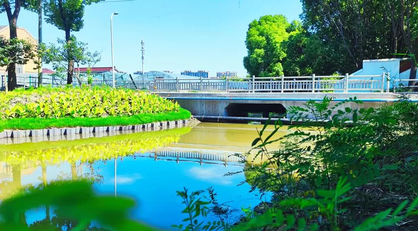 参与古镇联合申遗背后,上海新场镇的“治河”之路-第1张图片- 参与古镇联合申遗背后,上海新场镇的“治河”之路-第1张图片-