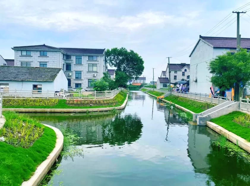参与古镇联合申遗背后,上海新场镇的“治河”之路-第2张图片- 参与古镇联合申遗背后,上海新场镇的“治河”之路-第2张图片-