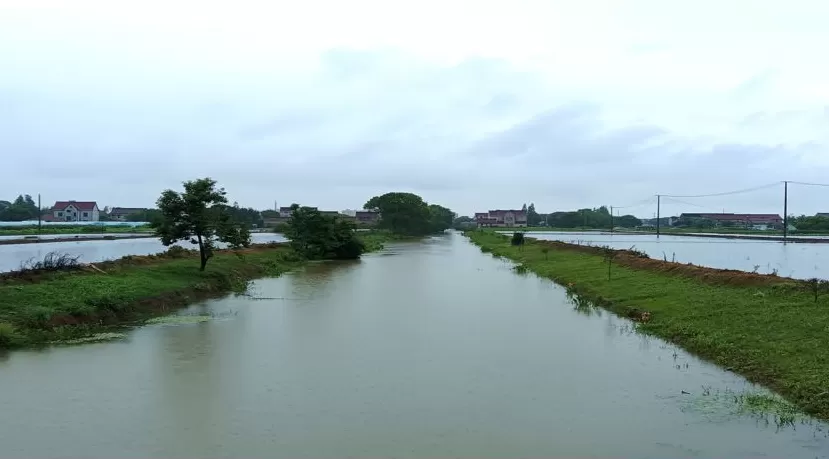 参与古镇联合申遗背后,上海新场镇的“治河”之路-第3张图片- 参与古镇联合申遗背后,上海新场镇的“治河”之路-第3张图片-