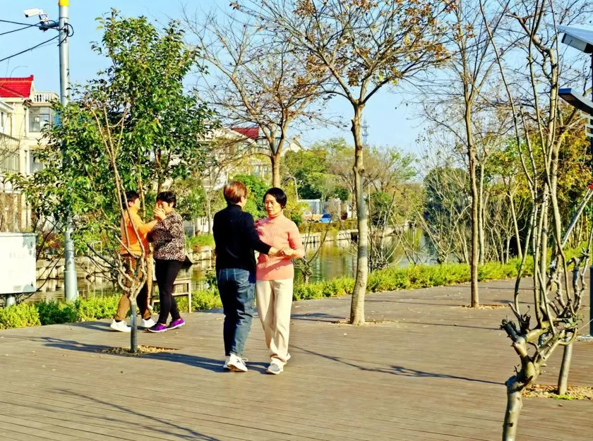 参与古镇联合申遗背后,上海新场镇的“治河”之路-第4张图片- 参与古镇联合申遗背后,上海新场镇的“治河”之路-第4张图片-