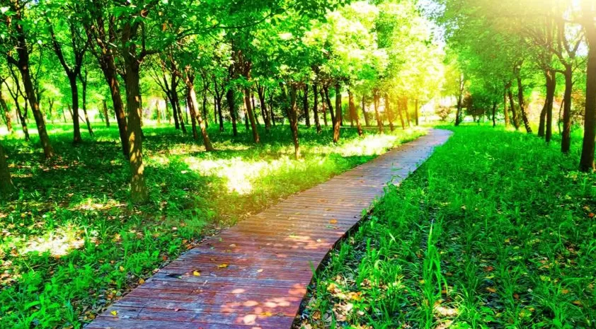 参与古镇联合申遗背后,上海新场镇的“治河”之路-第5张图片- 参与古镇联合申遗背后,上海新场镇的“治河”之路-第5张图片-