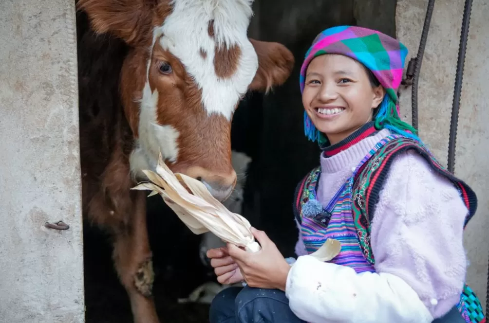 云南百万粉丝网红小英的丈夫被刑拘:酒后肇事逃逸致人重伤-第4张图片- 云南百万粉丝网红小英的丈夫被刑拘:酒后肇事逃逸致人重伤-第4张图片-
