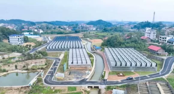 【理响中国·一线探新】产业振兴绘就“诗画田园”-第2张图片- 【理响中国·一线探新】产业振兴绘就“诗画田园”-第2张图片-