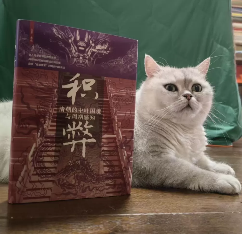 孙明谈清中叶的困境与“积弊成敝”-第2张图片-