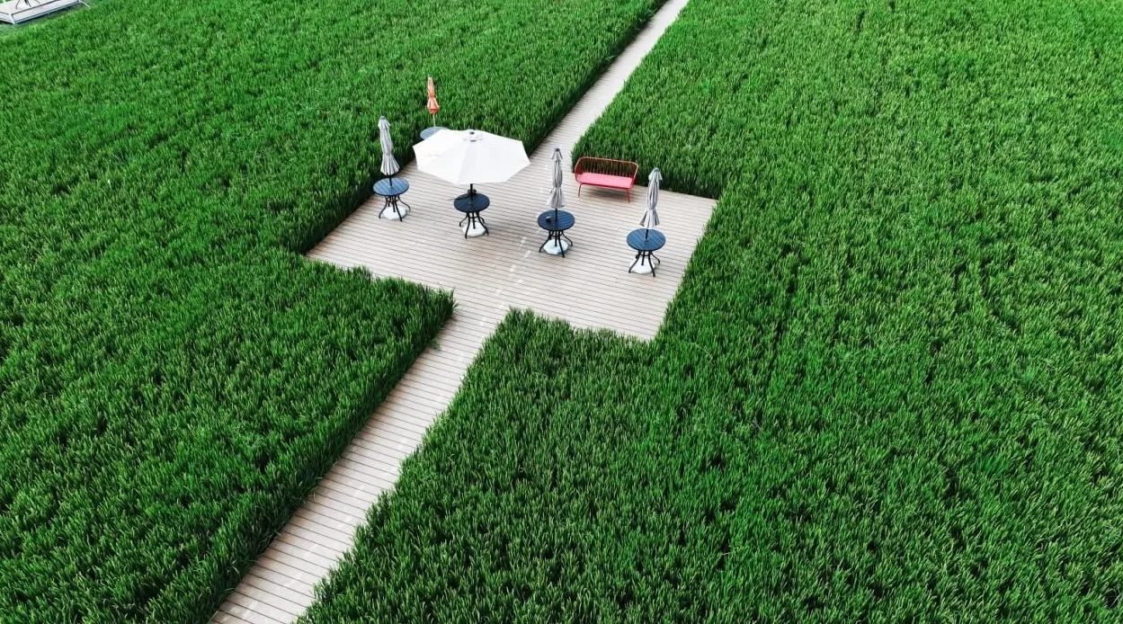 徐州铜山的文旅思考:让创意在乡村流动,成为新式发展动能-第4张图片- 徐州铜山的文旅思考:让创意在乡村流动,成为新式发展动能-第4张图片-