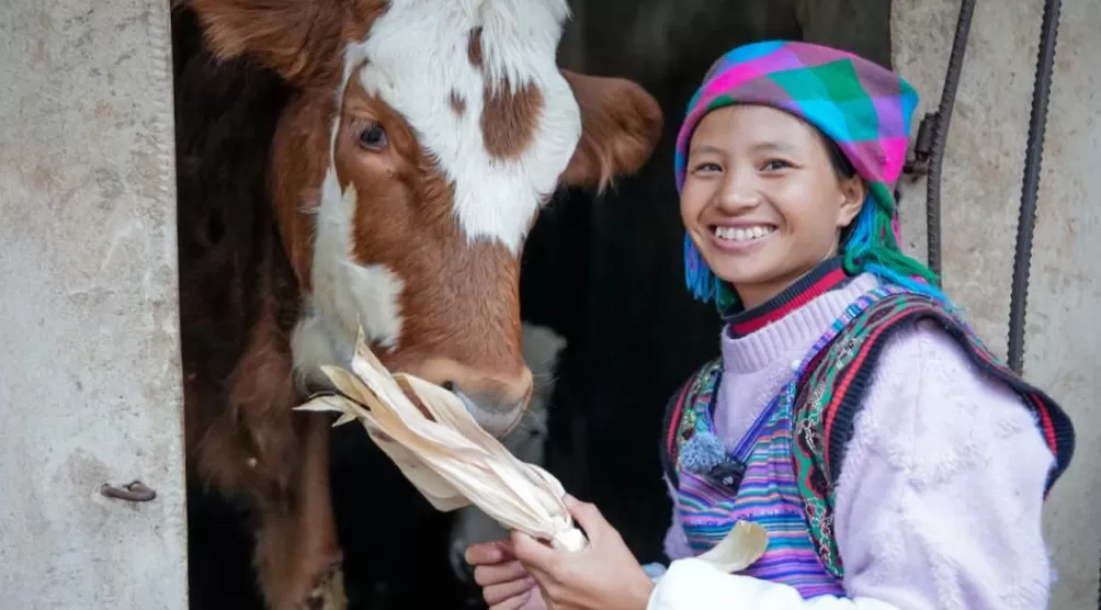 媒体:从“卖惨顶流”到肇事逃逸,谁来为流量经济的信任危机买单?-第2张图片- 媒体:从“卖惨顶流”到肇事逃逸,谁来为流量经济的信任危机买单?-第2张图片-