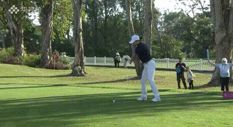 上海队获得十五运会高尔夫球女子团体银牌-第1张图片- 上海队获得十五运会高尔夫球女子团体银牌-第1张图片-