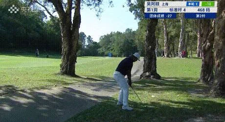 上海队夺得十五运会高尔夫球男子团体冠军-第5张图片- 上海队夺得十五运会高尔夫球男子团体冠军-第5张图片-