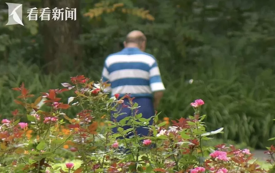 外籍华人百万遗产无继承人法院指定遗产管理人-第1张图片- 外籍华人百万遗产无继承人法院指定遗产管理人-第1张图片-