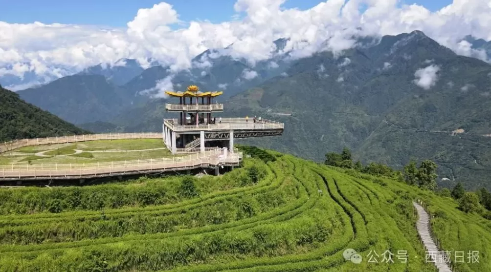 113000000元!墨脱真棒!-第1张图片- 113000000元!墨脱真棒!-第1张图片-