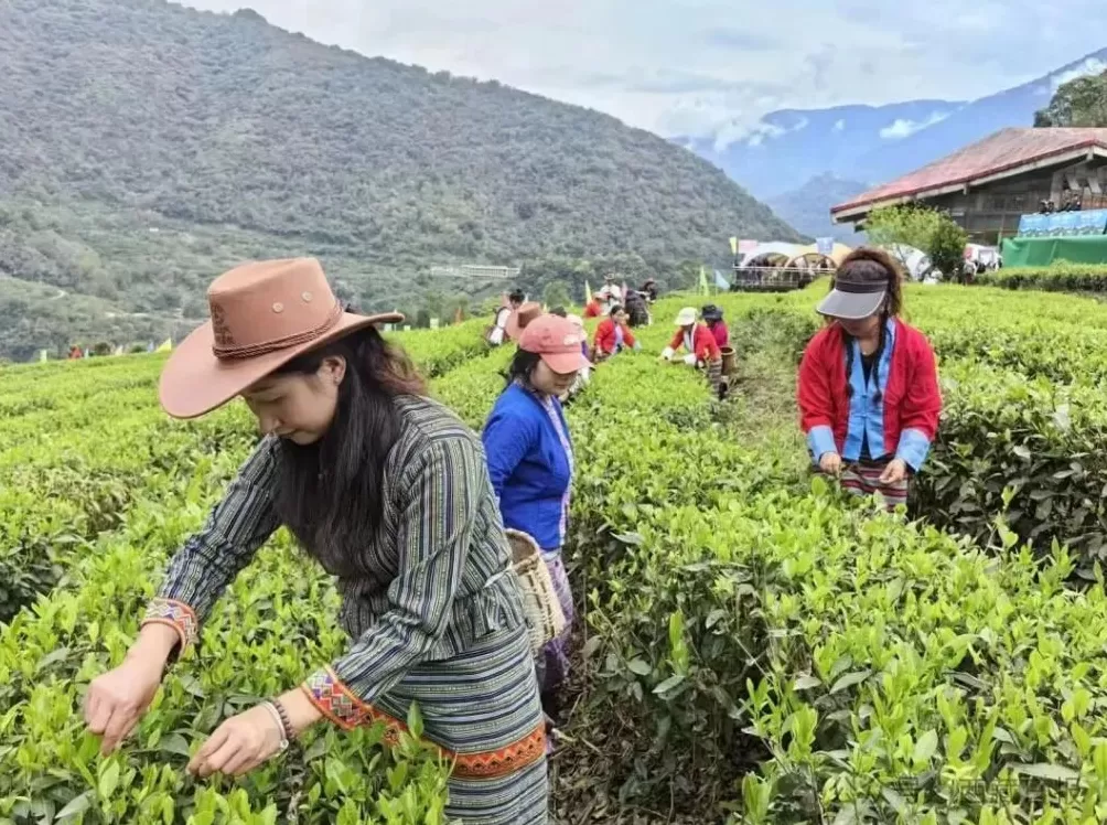 113000000元!墨脱真棒!-第4张图片- 113000000元!墨脱真棒!-第4张图片-