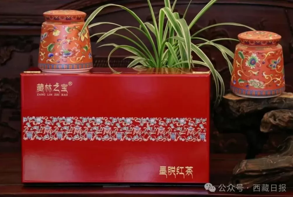 113000000元!墨脱真棒!-第6张图片- 113000000元!墨脱真棒!-第6张图片-