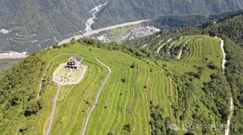 113000000元!墨脱真棒!-第7张图片- 113000000元!墨脱真棒!-第7张图片-