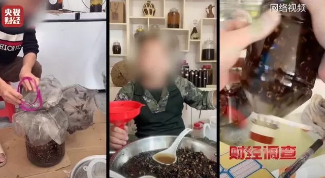 央视曝光:“杀人蜂”遭滥养,有人赚得盆满钵满-第1张图片- 央视曝光:“杀人蜂”遭滥养,有人赚得盆满钵满-第1张图片-