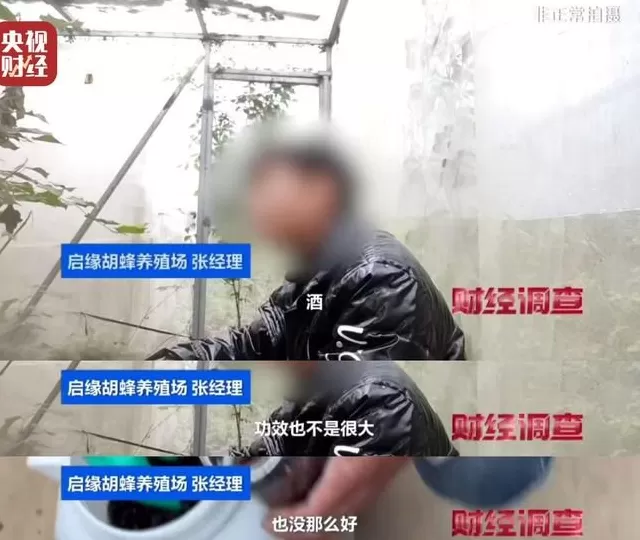 央视曝光:“杀人蜂”遭滥养,有人赚得盆满钵满-第4张图片- 央视曝光:“杀人蜂”遭滥养,有人赚得盆满钵满-第4张图片-