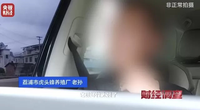 央视曝光:“杀人蜂”遭滥养,有人赚得盆满钵满-第19张图片- 央视曝光:“杀人蜂”遭滥养,有人赚得盆满钵满-第19张图片-